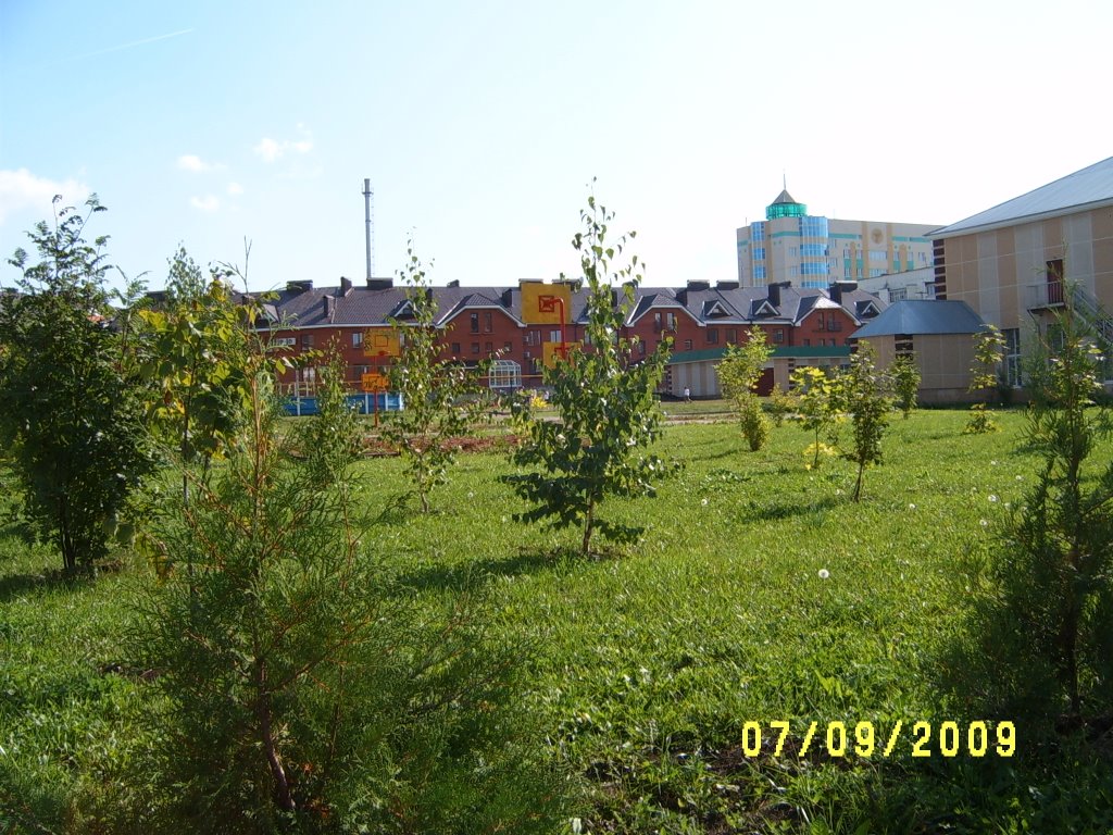 Школьный двор.