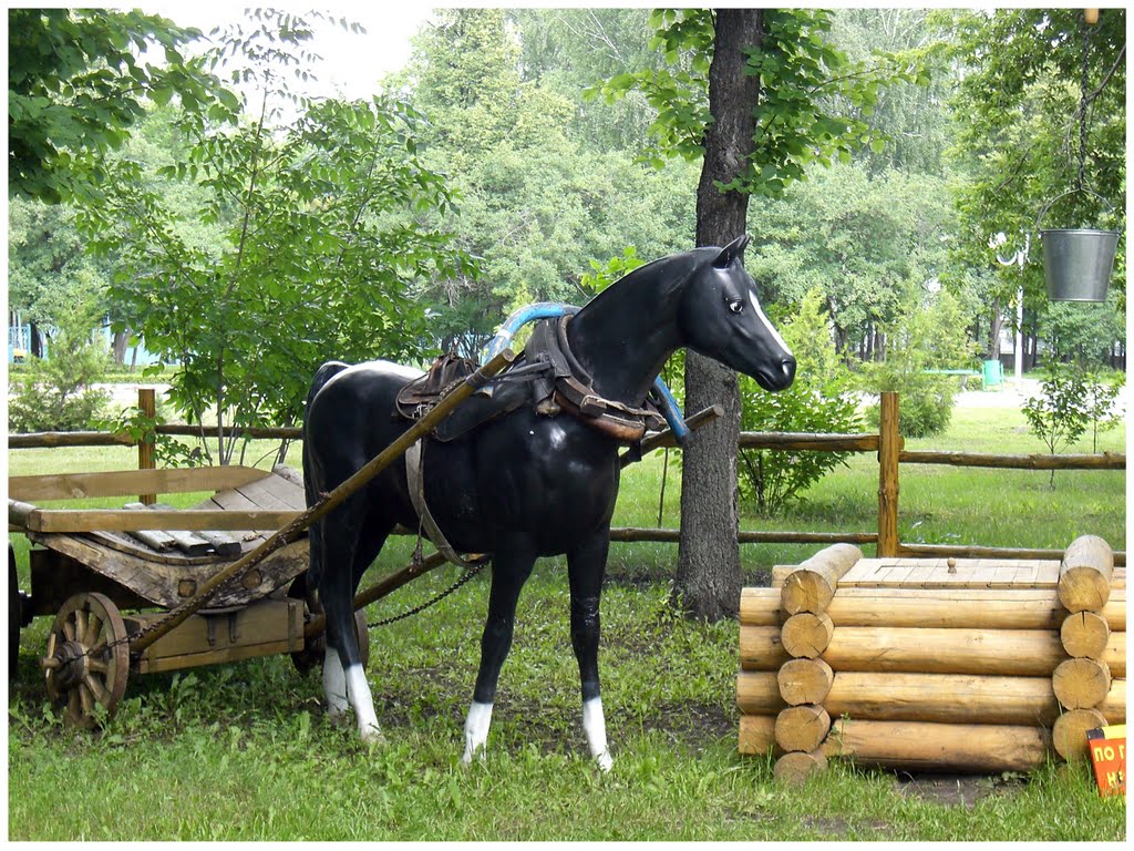 City Almetyevsk, recreation park. Город Альметьевск, парк культуры и отдыха.