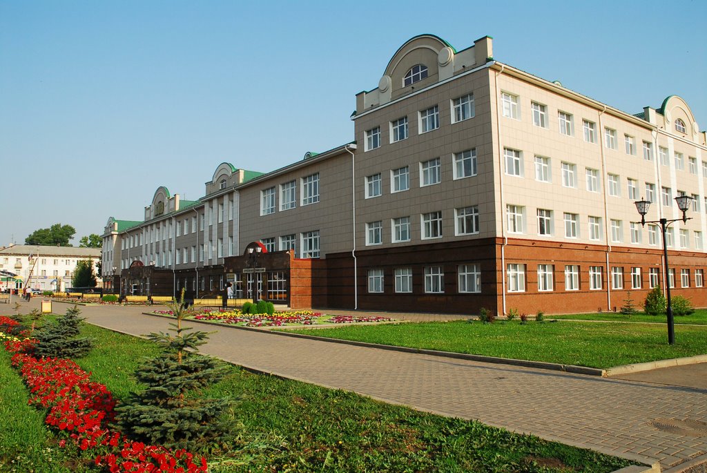 Institute of oil and gas