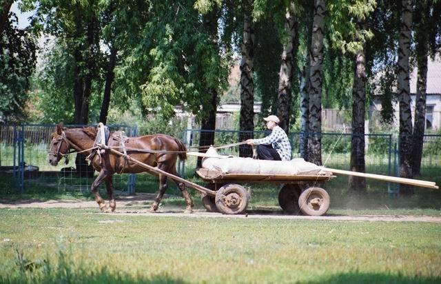 Кирельское / Kirelskoye