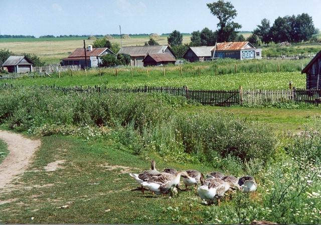 Урюм / Uryum