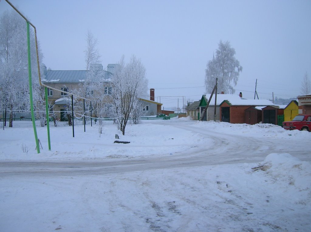 2009г.