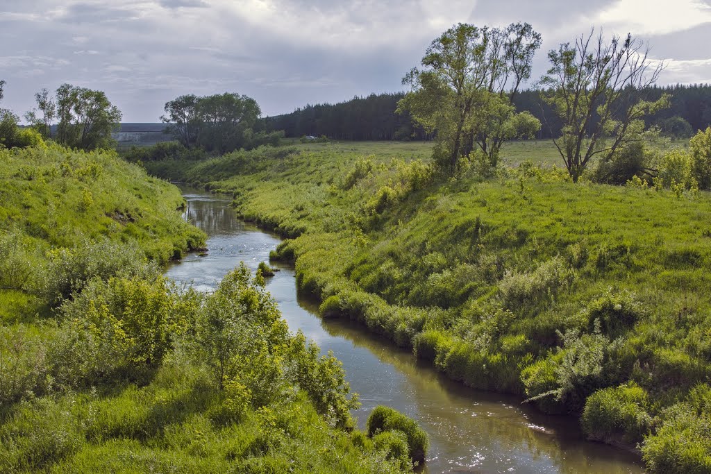 Река Казанка близ Арска