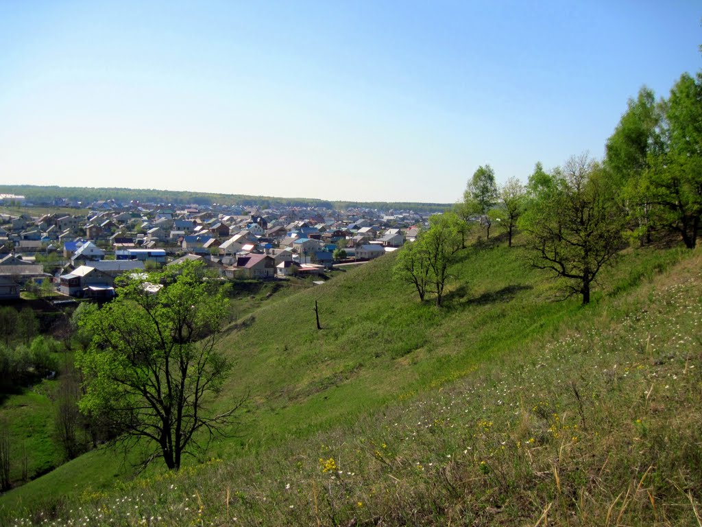 Холмы и город