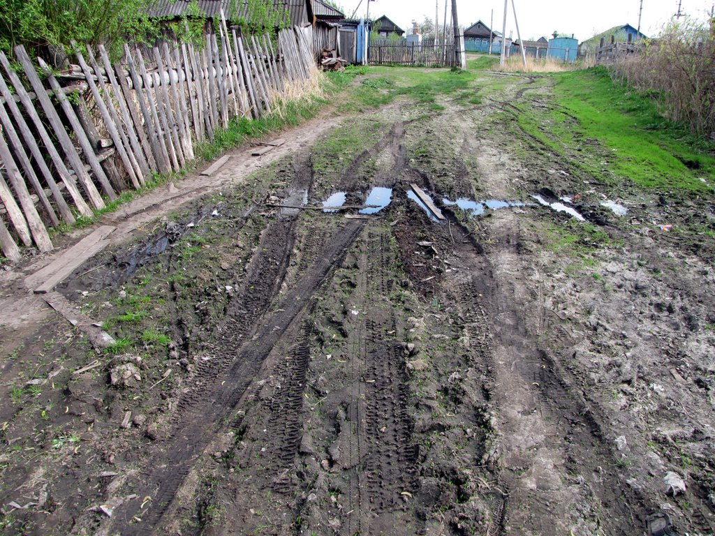 Край родной. Дорога… Bazarnyye Mataki, Tatarstan (Russia)