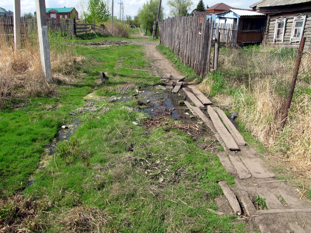 Край родной. Дорога… Bazarnyye Mataki, Tatarstan (Russia)
