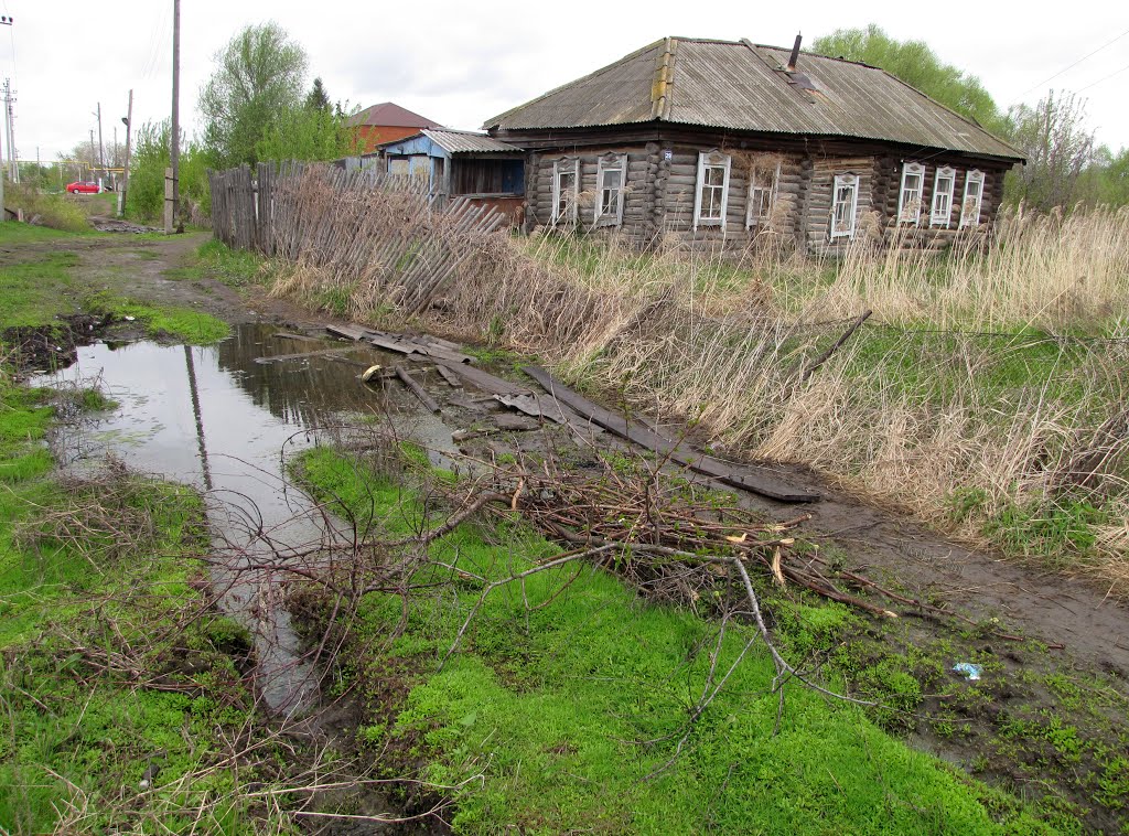Родина… Motherland… 06 (Bazarnyye Mataki,Tatarstan Russia)