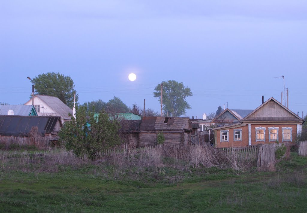 Родина… Motherland… 07 (Bazarnyye Mataki,Tatarstan Russia)