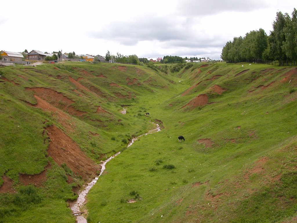 View from the Bridge