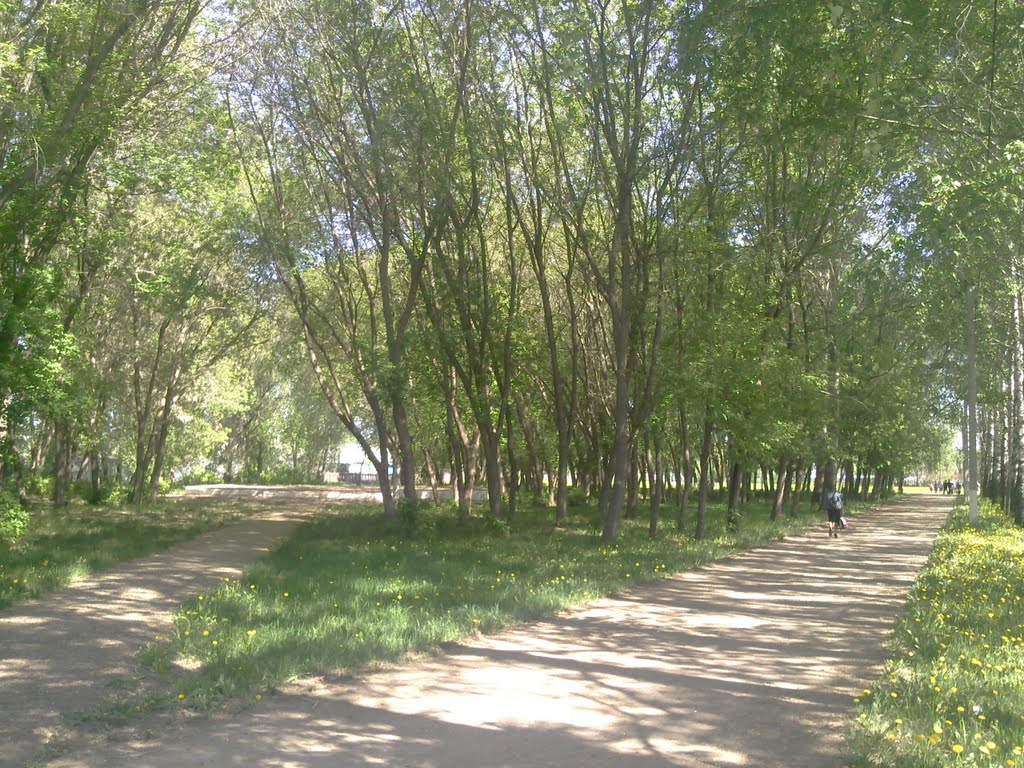 Парк