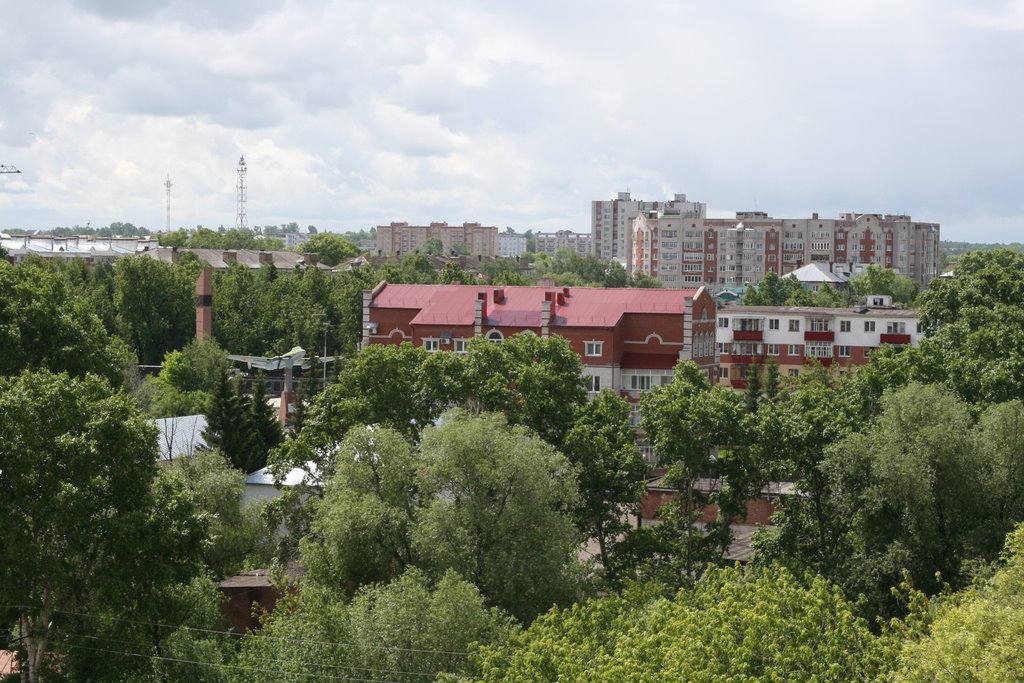 Вид с Сокольской горы