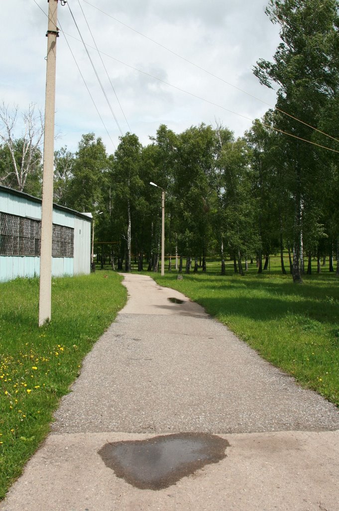Лыжная база