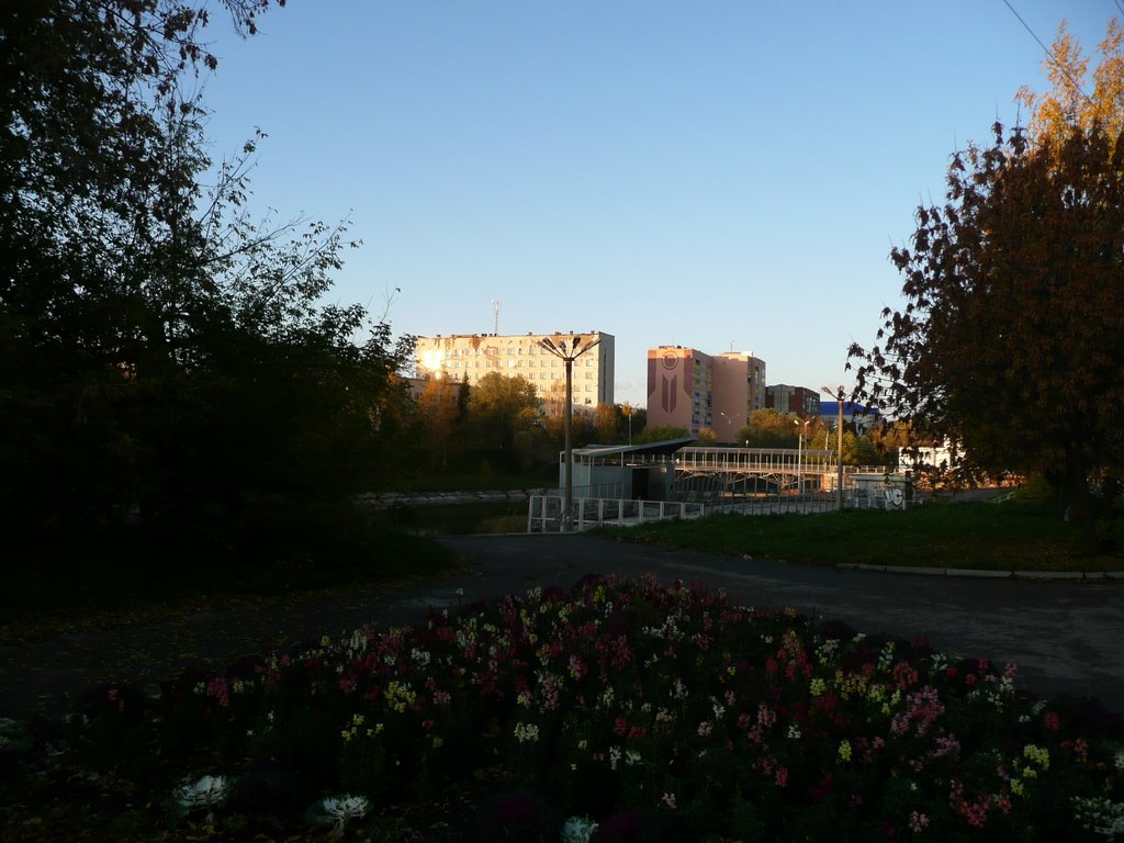 поликлиника(health centre)