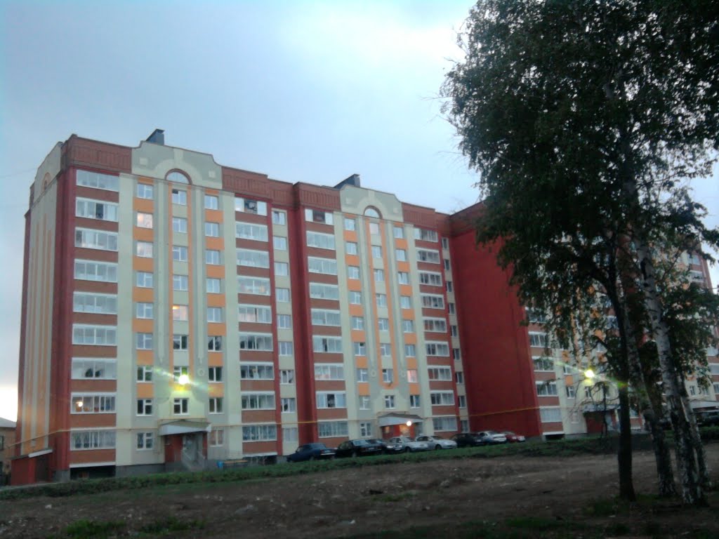 Дом по улице Энгельса
