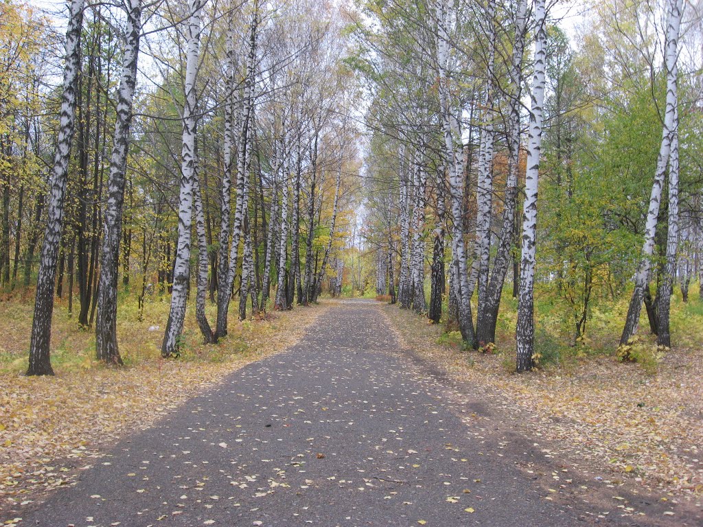 Парк на ул.Красноармейской