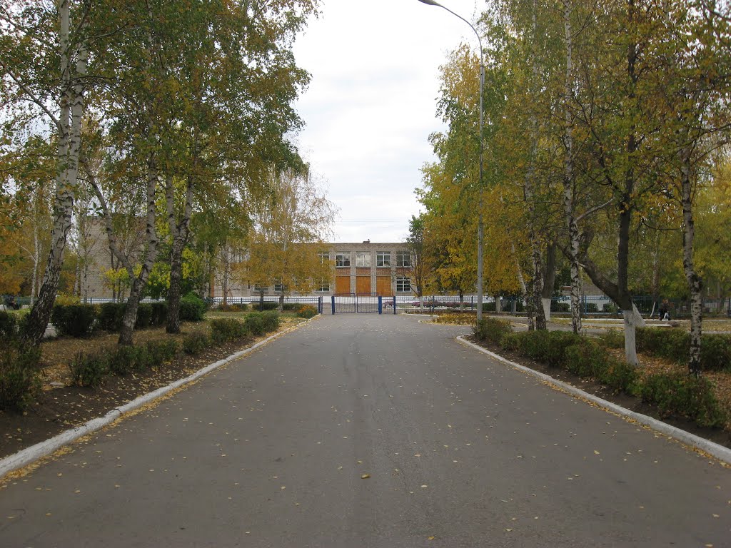 Аллея Школы №3