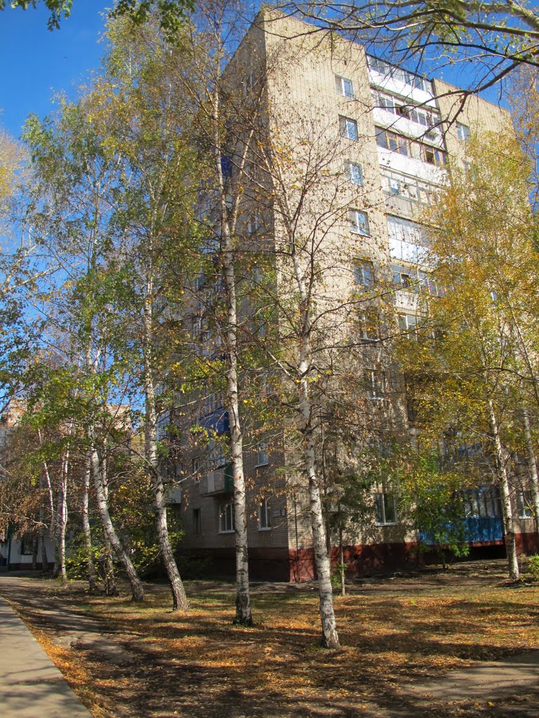 дом по ул.Джалиля 62