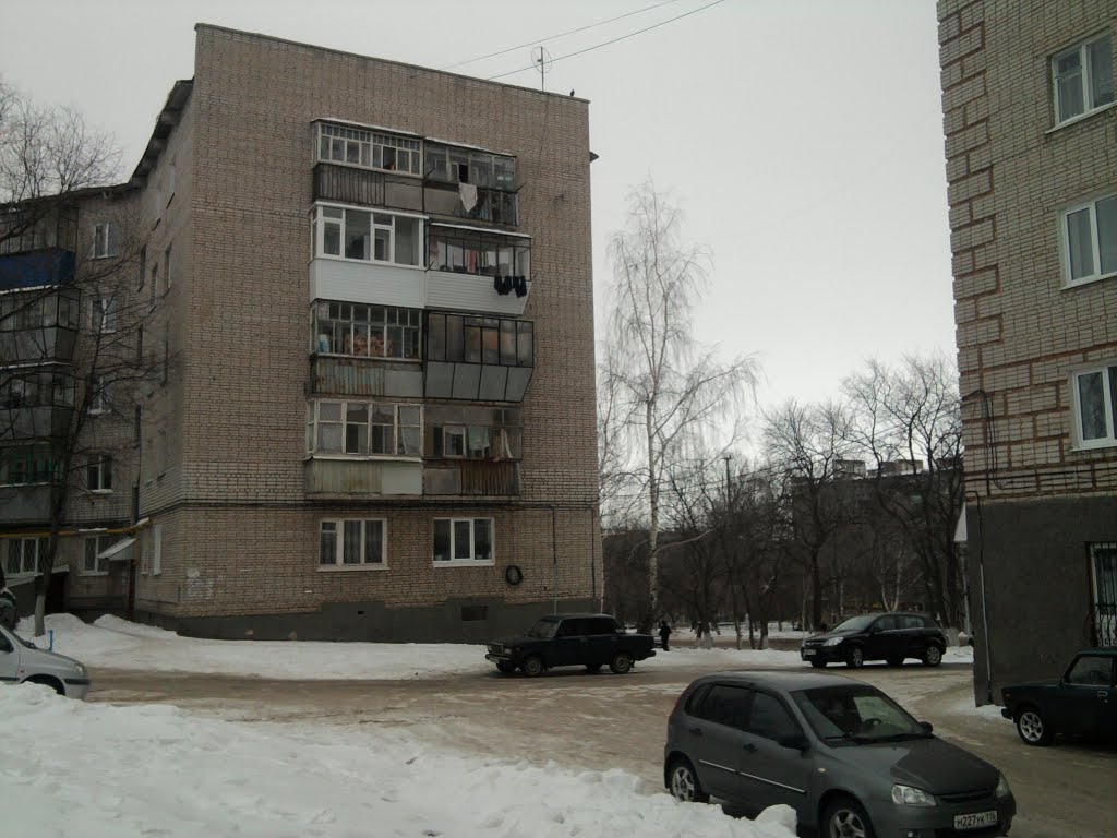 Дом на ул. Гафиатуллина