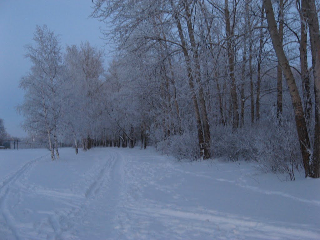 Зимний парк