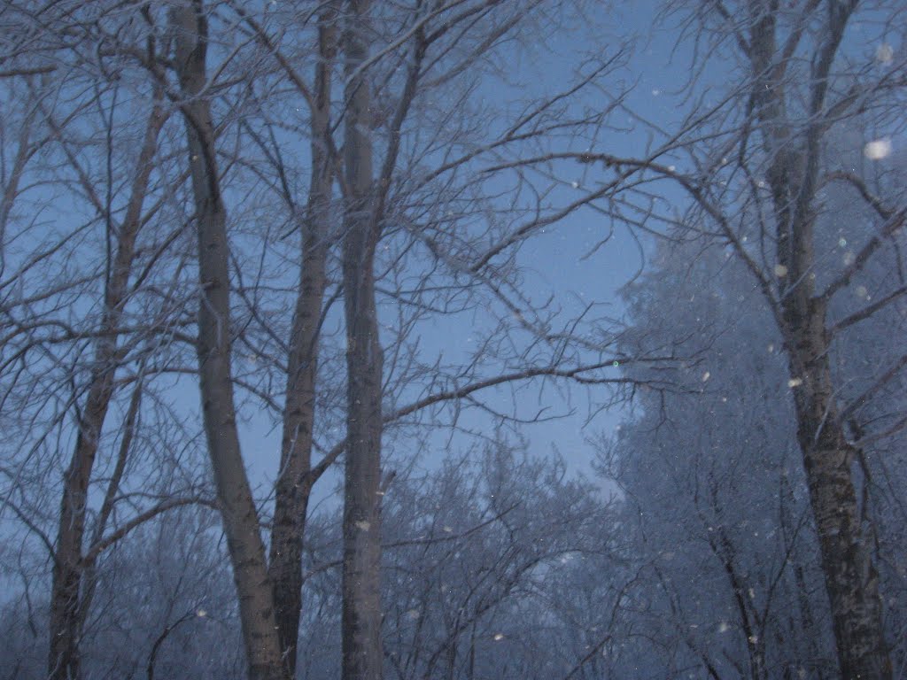 Зимний парк