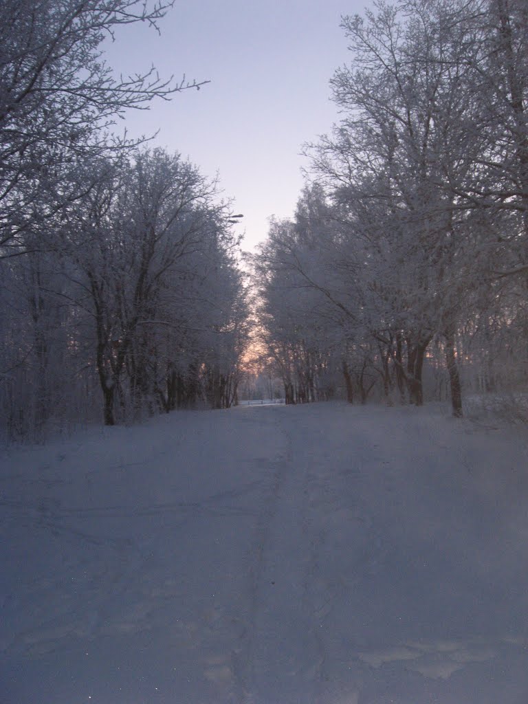 Зимний парк