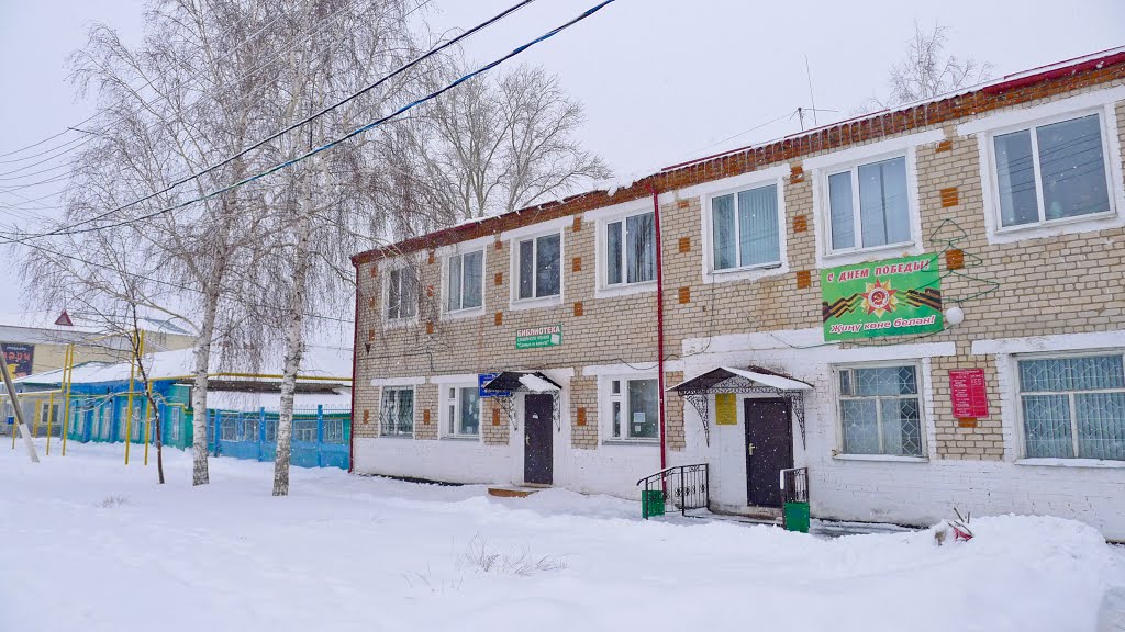 библиотека