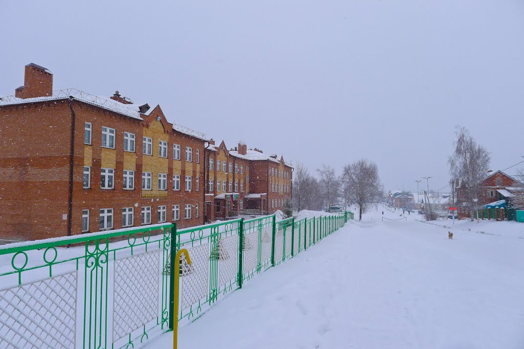 центральная улица
