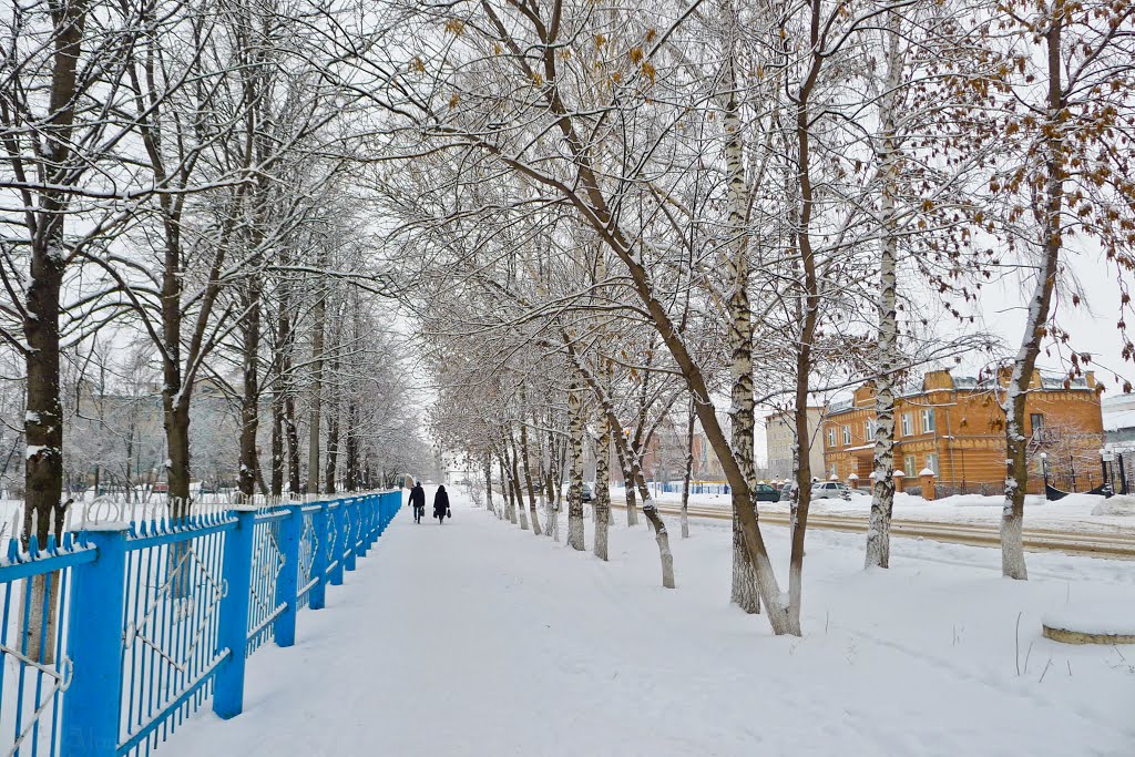 зима 2013