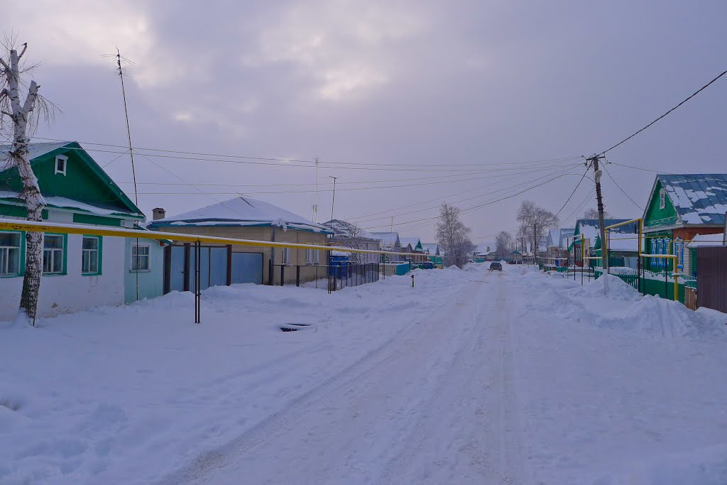 улицы Буинска
