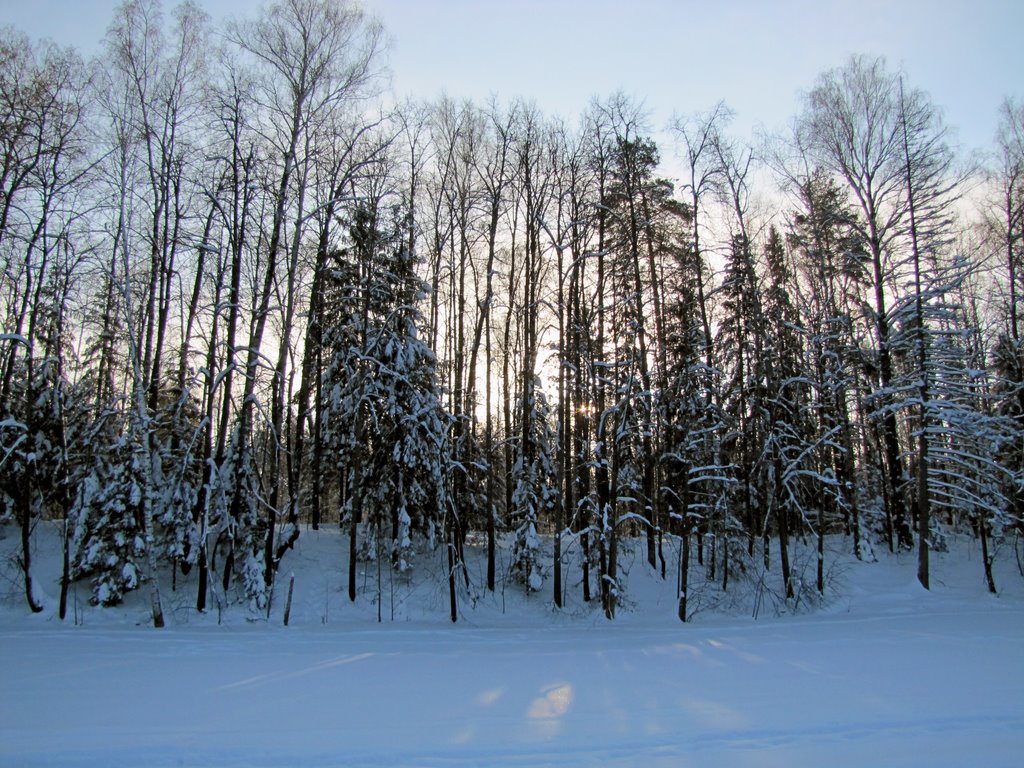 На льду заливаOn ice bay