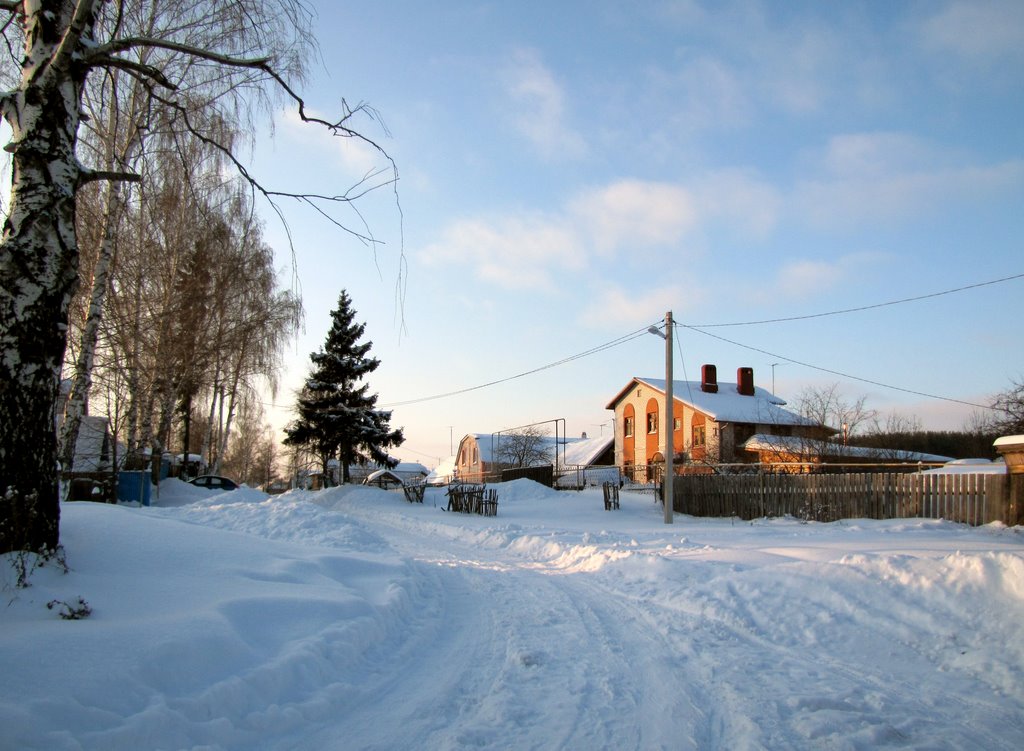 Посёлок ВасильевоVillage Vasilievo
