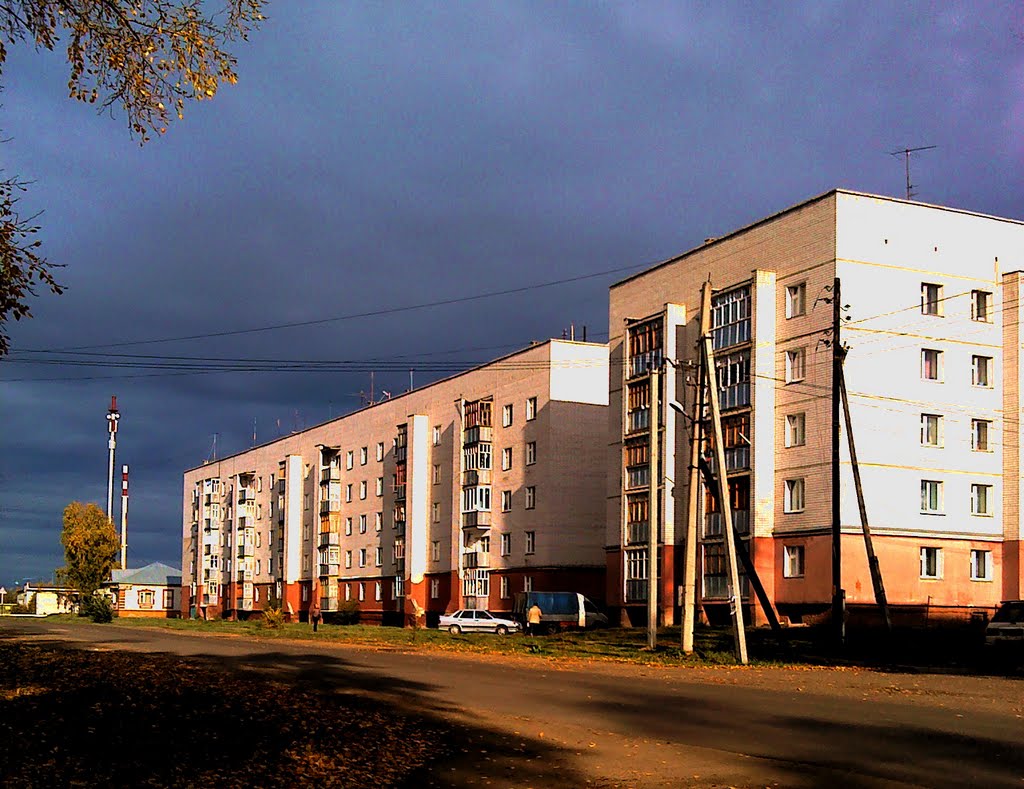 Васильево, дома на улице Октябрьская