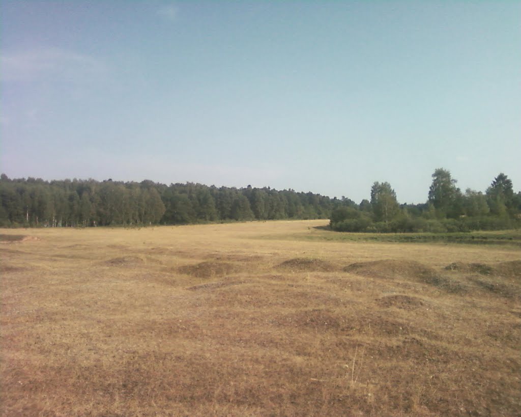 Маленькие холмики