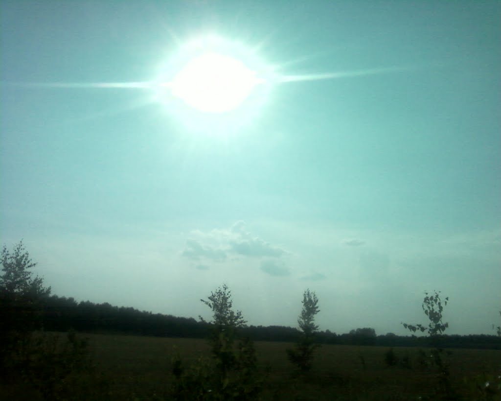 Послеполуденное Солнце  //Afternoon Sun