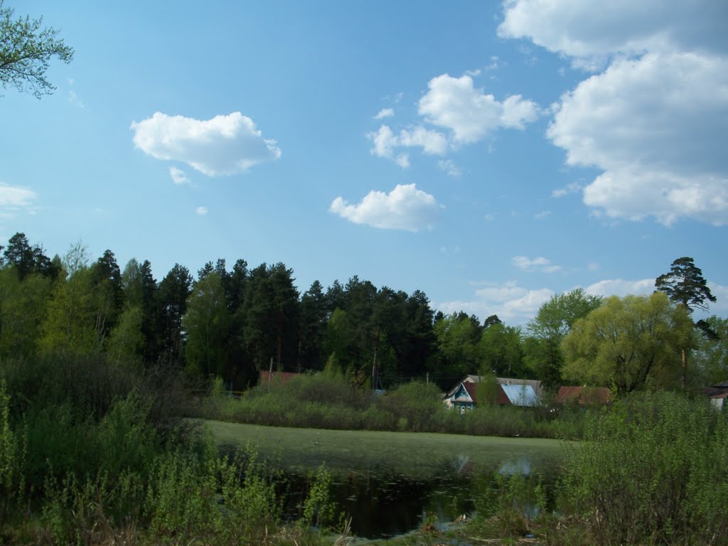 Пейзаж//Landscape