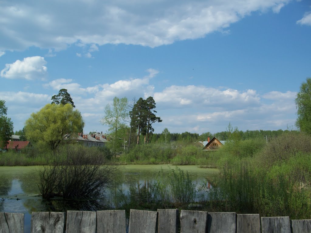 Вид на дома по ту сторону болота//View of the houses on that side of the swamp