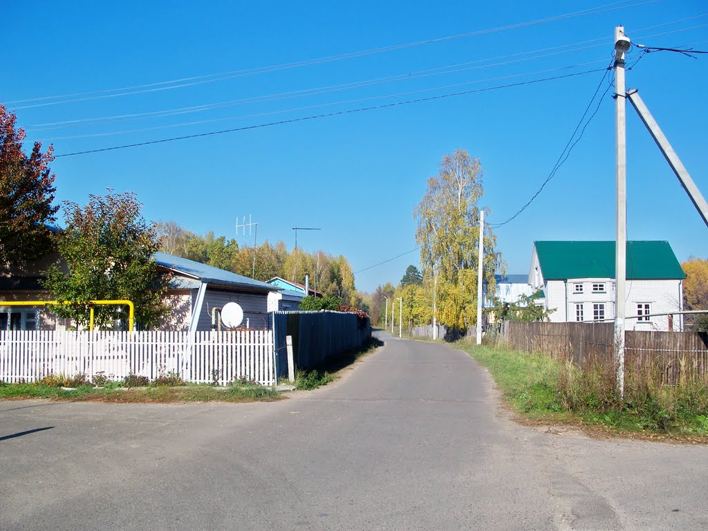 Васильевская дорога к речке//Vasilyevo road to the river