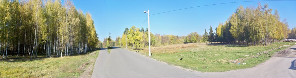 Дорога к Васильевским дачам//The road to Vasilyevo`s dachas