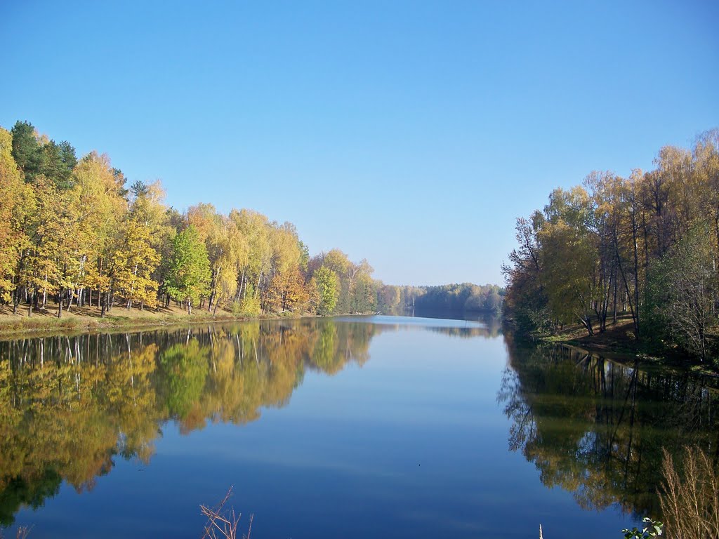 Красивейший Васильевский пейзаж //Beautiful landscape in Vasilevo