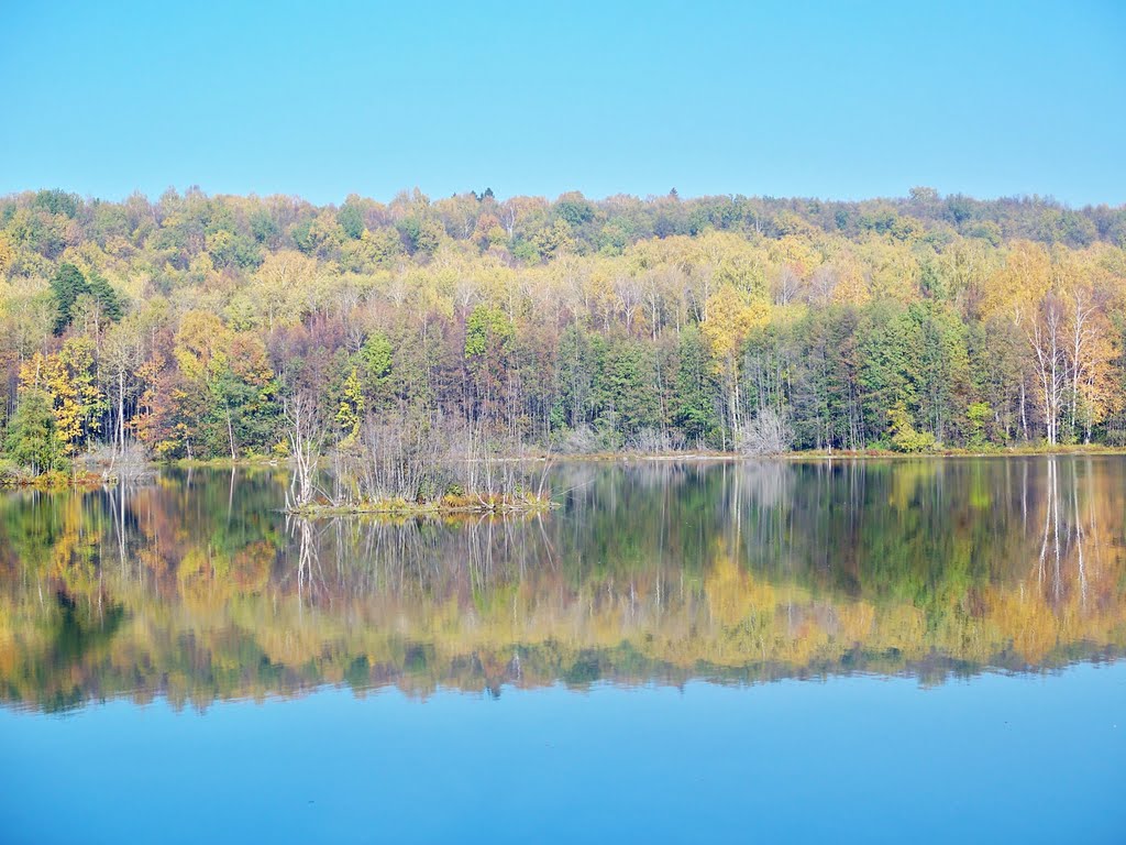 Зеркальный пейзаж//Landscape Mirror