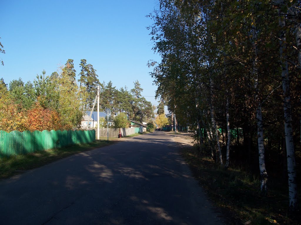 Дорога ведущая к остановке//The road leading to a halt