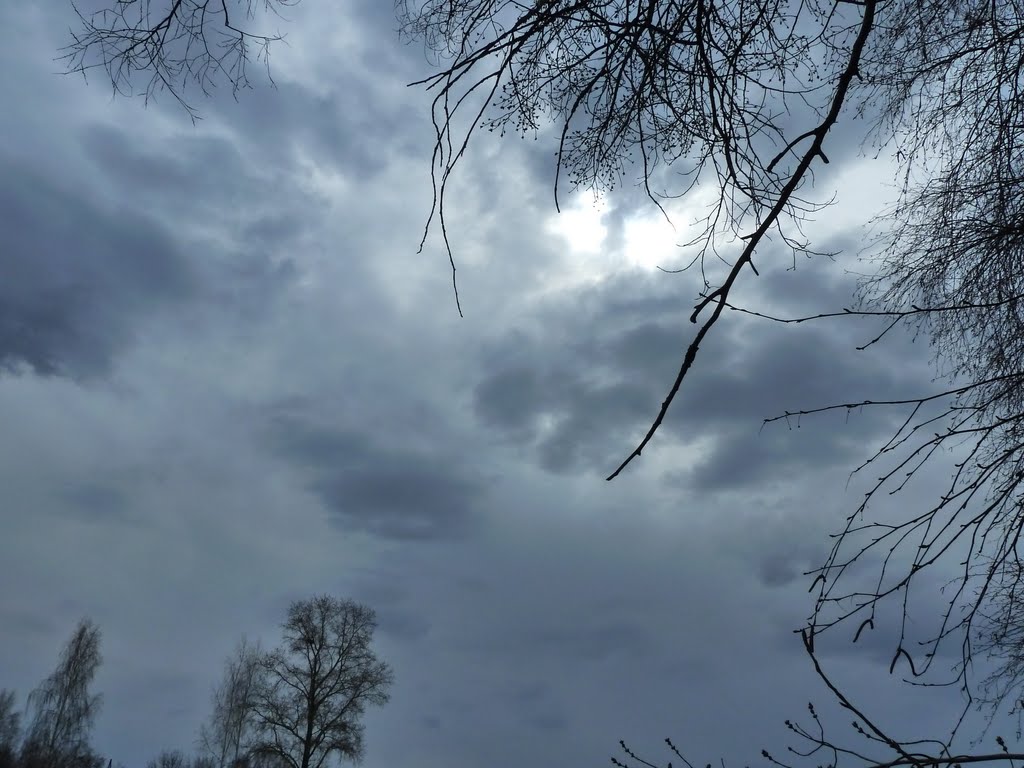Васильево