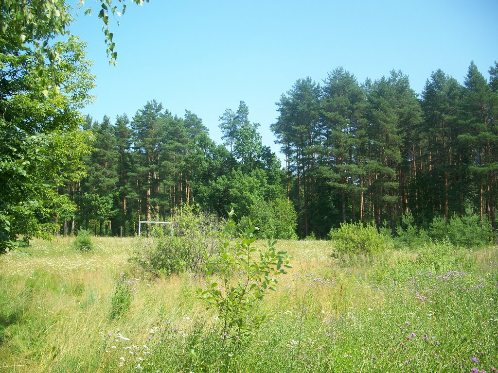 Футбольное поле возле дач///A soccer field near the cottages