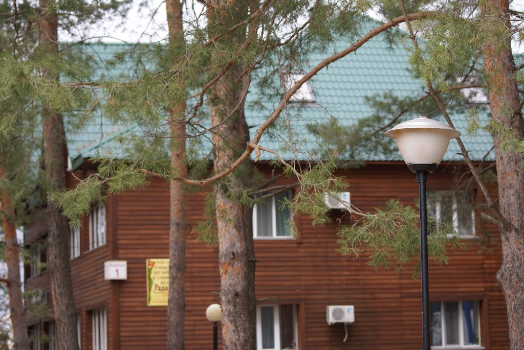 The wooden case in sanatorium "Pine  forest"