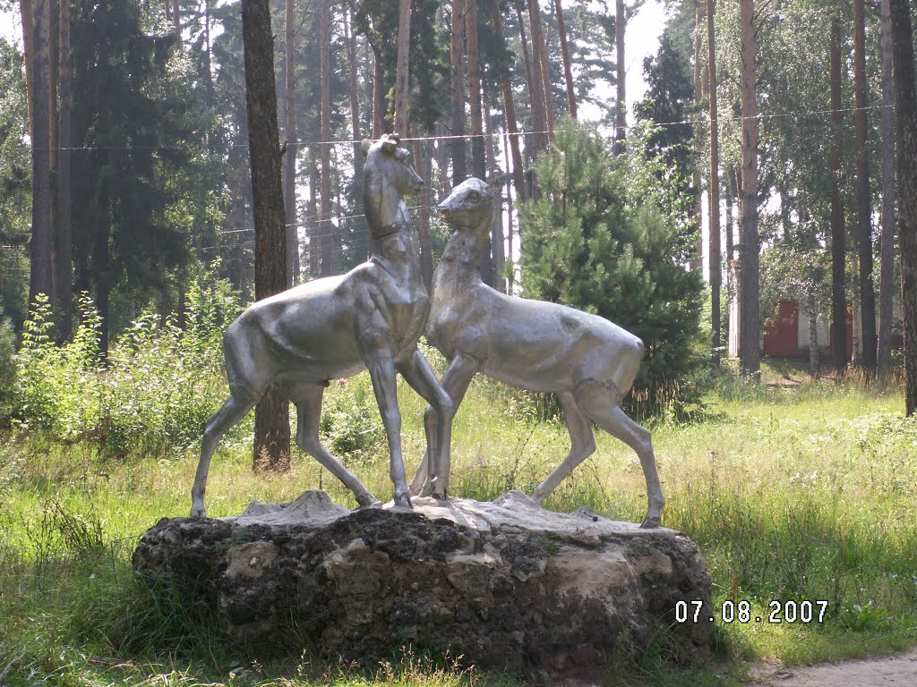 Олени