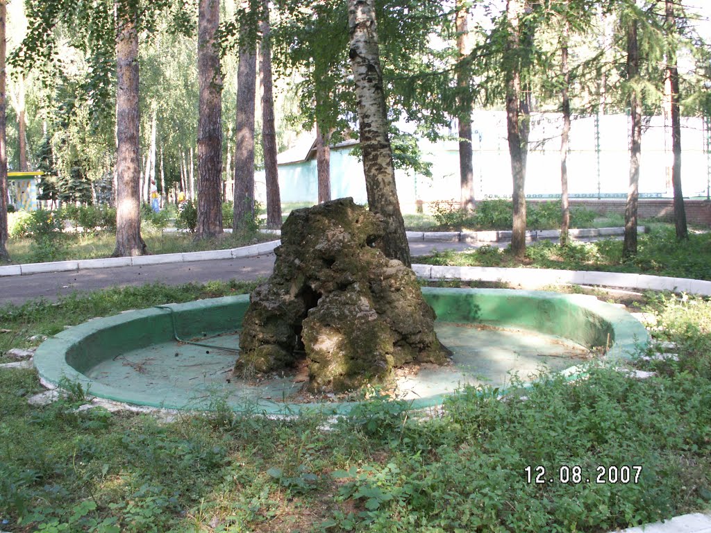 Фонтан у детского корпуса