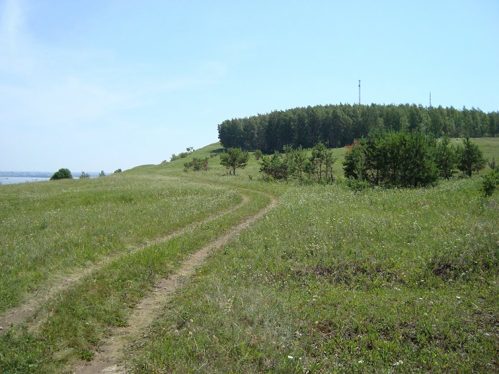 Дорога