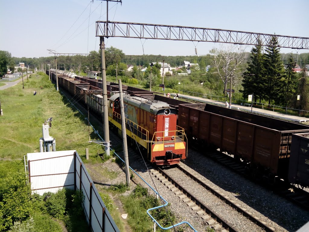 Маневровый тепловоз / Shunting Locomotive.
