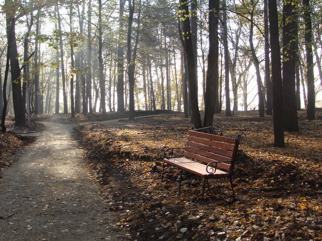 Скамейка в парке. Осень.