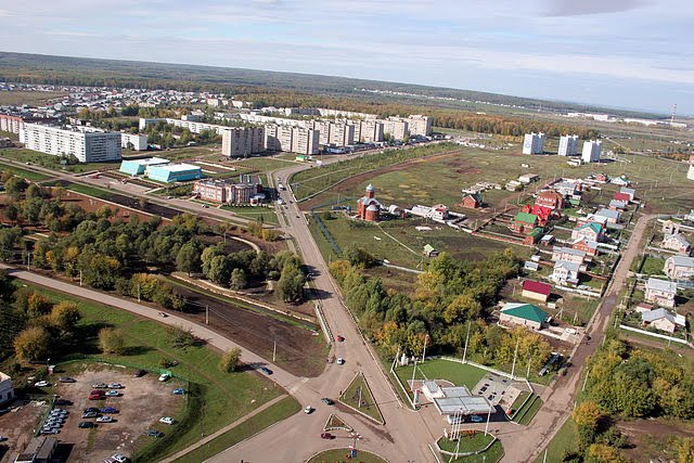 C высоты птиц